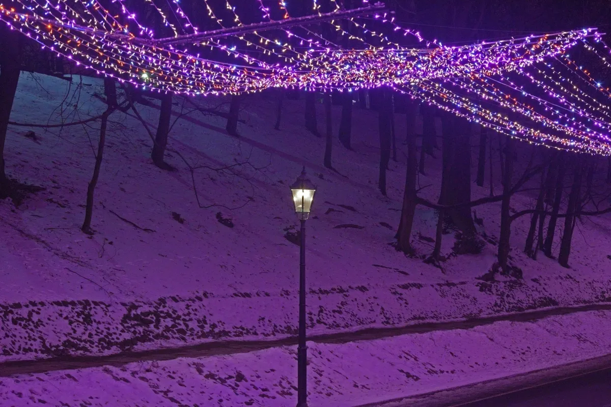 Purple string lights above a snowy park path and a lone streetlamp